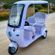 Электротрицикл ProTrike Караван Крыша V1