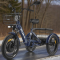 Трехколесный электровелосипед GREEN CITY e-ALFA Trike