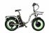 Электровелосипед Elbike Taiga 1 Twix (camouflage)